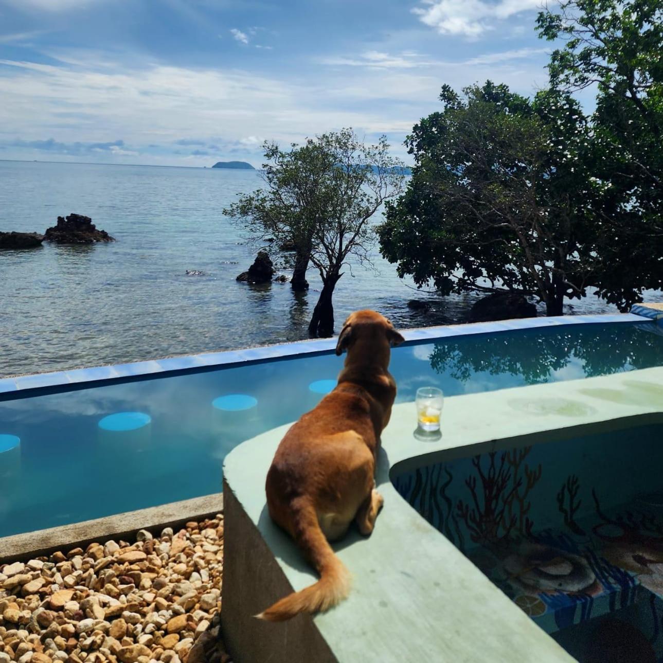 Cocovana Beach Resort (Adults Only) Busuanga Exterior foto